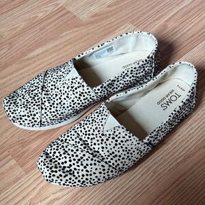 Spotted TOMS Shoes